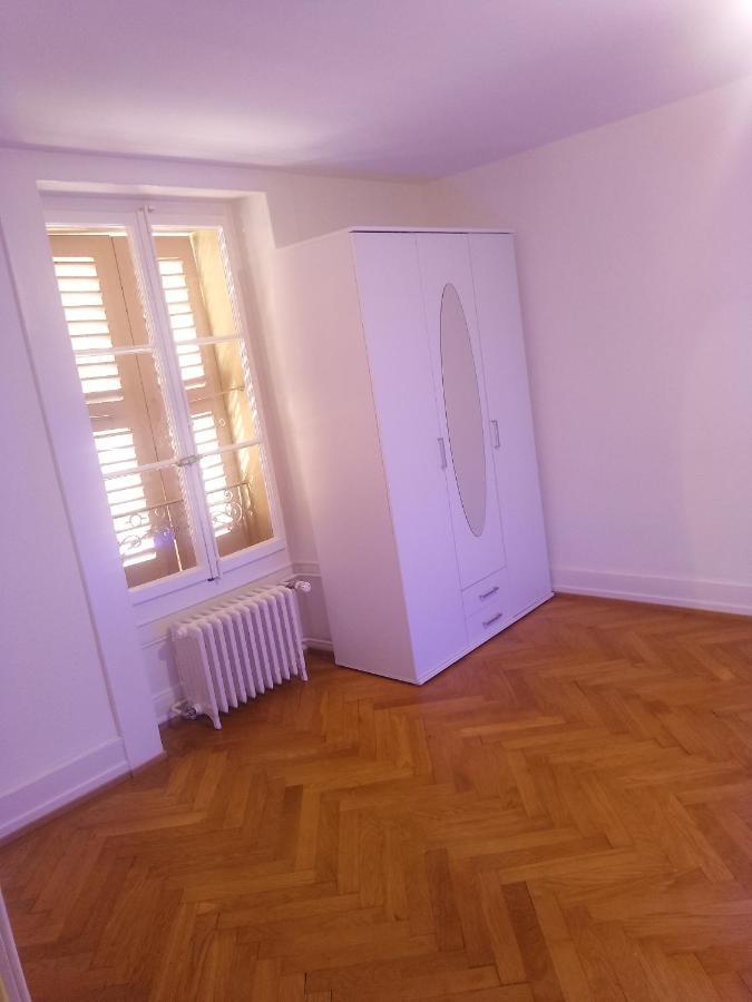 Charming Flat Center And Near The Lake Genebra Exterior foto