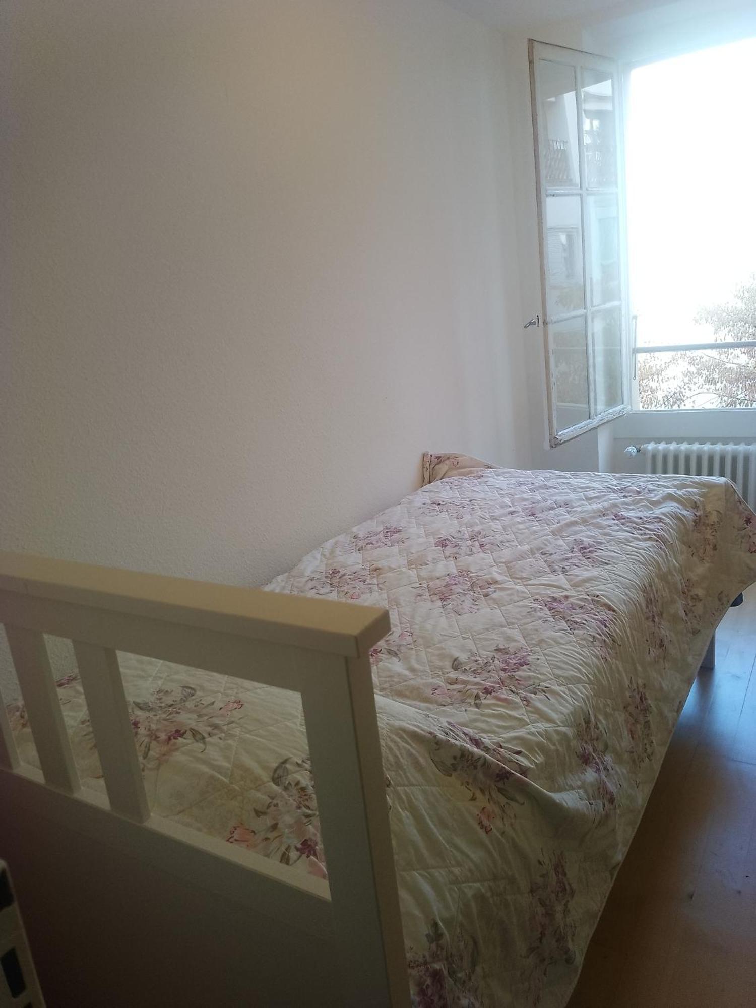 Charming Flat Center And Near The Lake Genebra Exterior foto