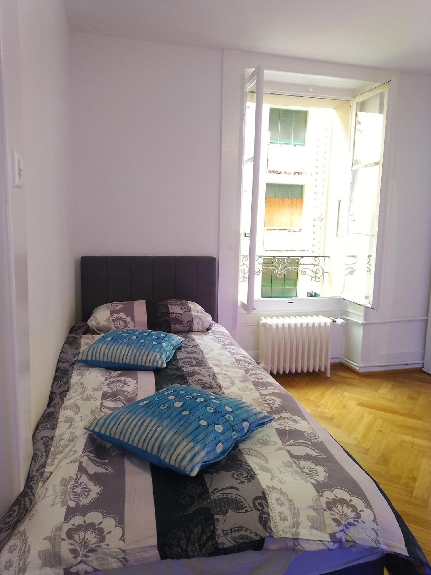 Charming Flat Center And Near The Lake Genebra Exterior foto